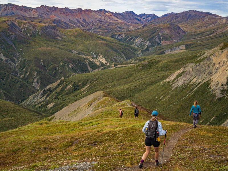 Sheep Creek Hiking Group A group of hikers descending into the Sheep Creek Valley in Kluane National Park, Yukon.