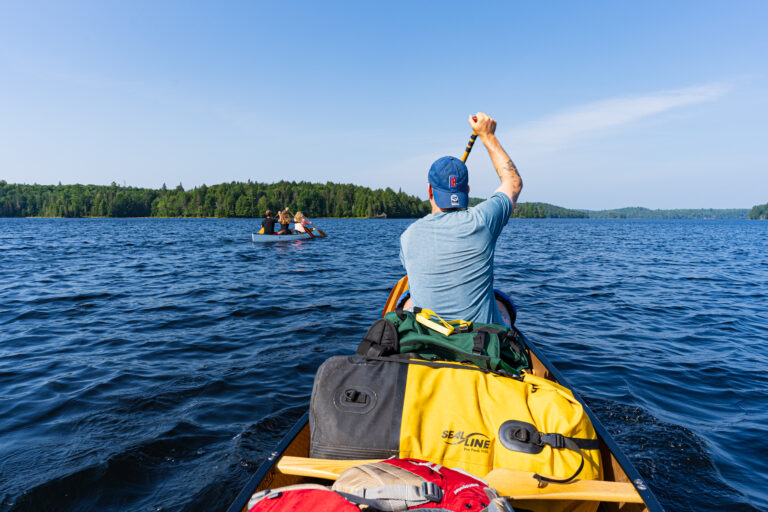 View from the stern of canoeists paddling Burnt Island Lake in Algonquin on a sunny day.