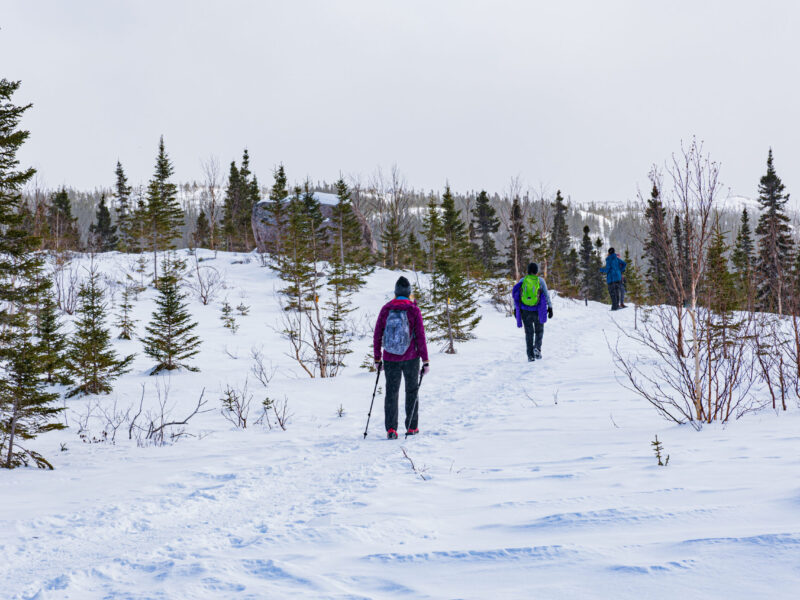 Grand Jardins Snowy Traverse Hikers walking into the distance on snowy mountain top in Grand Jardins National Park, Quebec.