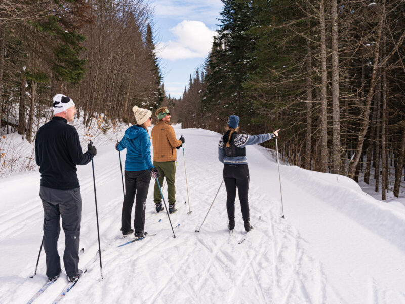 Group Ski Stop A group of cross Country skiers in Quebec stop on the trail to take in the sights.